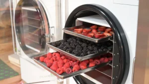 وکشاپ-فریزدرایر-Freeze-Dryer